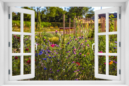 Fototapeta Naklejka Na Ścianę Okno 3D - Blühstreifen mit Wildblumen