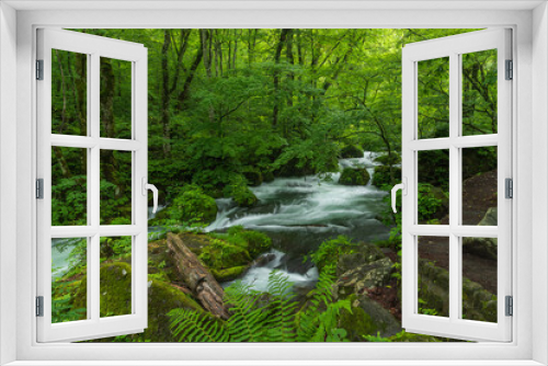 Fototapeta Naklejka Na Ścianę Okno 3D - Oirase mountain stream in early summer