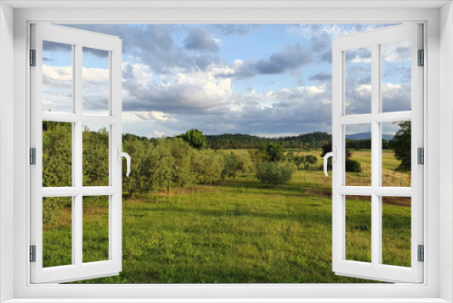 Fototapeta Naklejka Na Ścianę Okno 3D - Fields of the countryside of Umbria, that is known as the green heart of Italy.