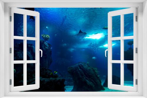 Fototapeta Naklejka Na Ścianę Okno 3D - Lisboa Lisbon  aquarium , Oceanário de Lisboa