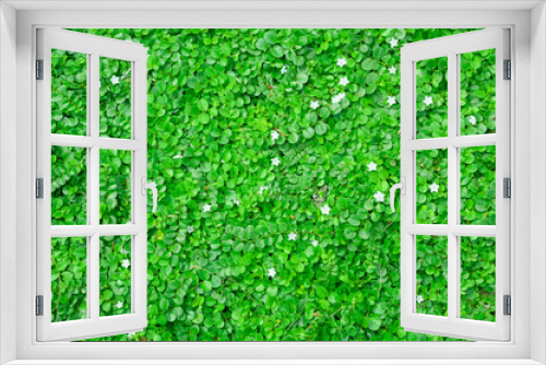 Fototapeta Naklejka Na Ścianę Okno 3D - Green leaves background, Natural wallpaper.