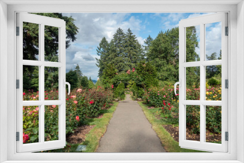 Fototapeta Naklejka Na Ścianę Okno 3D - Portland international rose garden