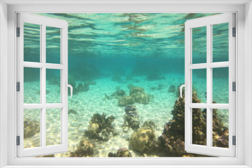 Fototapeta Naklejka Na Ścianę Okno 3D - Jardin de corail, lagon de Taha'a, Polynésie française