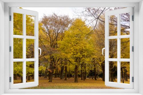 Fototapeta Naklejka Na Ścianę Okno 3D - 日本の四季　紅葉の季節
