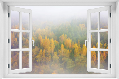 Fototapeta Naklejka Na Ścianę Okno 3D - Autumn colored woods in early morning fog