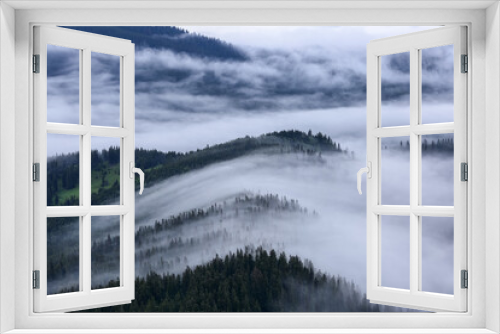 Fototapeta Naklejka Na Ścianę Okno 3D - Landscape with high mountains. Foggy forest of the pine trees. Majestic summer day. The early morning mist. A place to relax in the Carpathian Park. Natural landscape. Free space for text.
