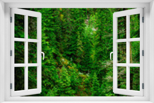 Fototapeta Naklejka Na Ścianę Okno 3D - forest at the Jasper Canada