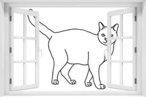 Fototapeta Naklejka Na Ścianę Okno 3D - cat