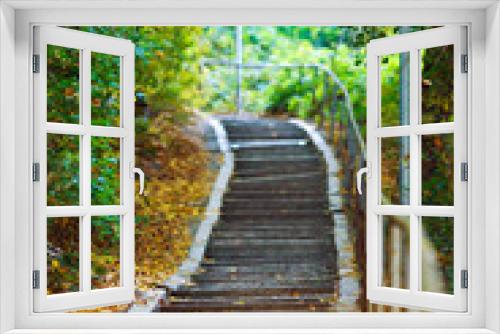 Fototapeta Naklejka Na Ścianę Okno 3D - Stairs in forest