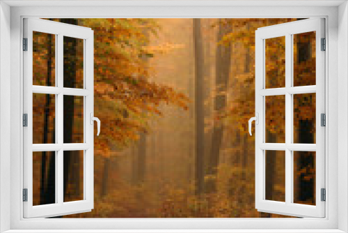 Fototapeta Naklejka Na Ścianę Okno 3D - herbstliche Stimmung im Wald bei Nebel