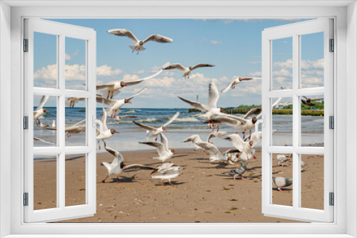 Fototapeta Naklejka Na Ścianę Okno 3D - 
seagulls flying over the beach by the sea