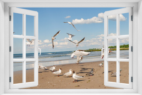 Fototapeta Naklejka Na Ścianę Okno 3D - 
seagulls flying over the beach by the sea