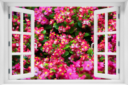 Fototapeta Naklejka Na Ścianę Okno 3D - Abstract image of summer flowers background