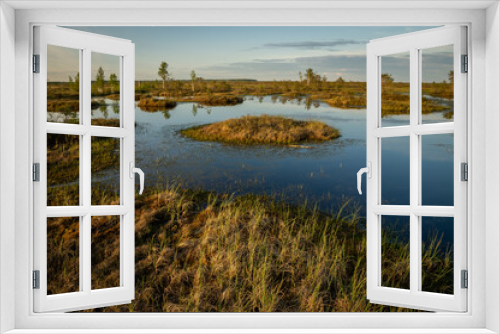 Fototapeta Naklejka Na Ścianę Okno 3D - Riding swamp. A lake with small islands in the fall before sunset. Bog in Europe. 