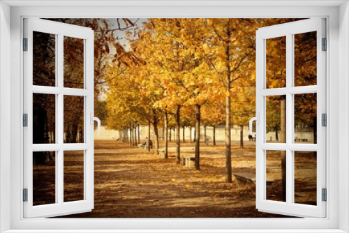 Fototapeta Naklejka Na Ścianę Okno 3D - Un après-midi d'automne dans le jardins des Tuileries (Paris)