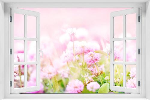 Fototapeta Naklejka Na Ścianę Okno 3D - Toned image of summer blossoming clover on meadow, pink flower background, shiny floral card, shallow DOF