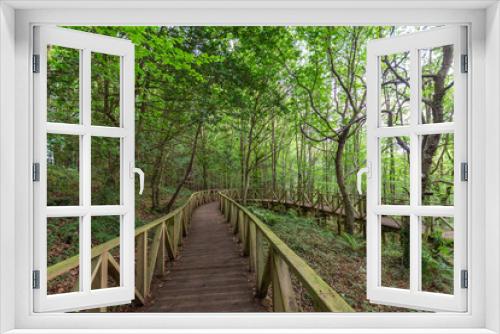 Fototapeta Naklejka Na Ścianę Okno 3D - Horizontal view of a curved wooden walkway, in a green forest, in Cantabria, Spain