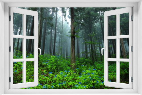 Fototapeta Naklejka Na Ścianę Okno 3D - 森の紫陽花