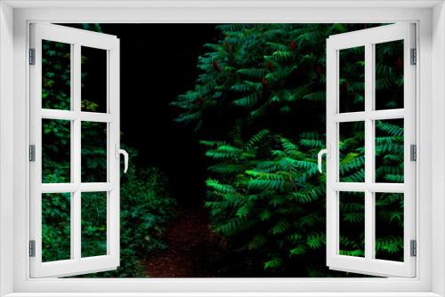Fototapeta Naklejka Na Ścianę Okno 3D - Forest path entrance green on black