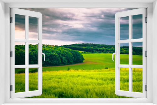 Fototapeta Naklejka Na Ścianę Okno 3D - Krajobraz roślinności