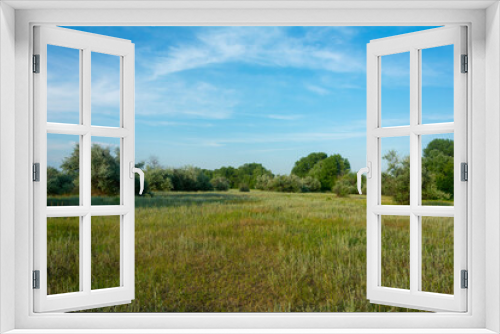 Fototapeta Naklejka Na Ścianę Okno 3D - Summer landscape. Green forest, large meadow with grass in the foreground. Bright blue sky in summer over the forest. Summer mood, copy space 