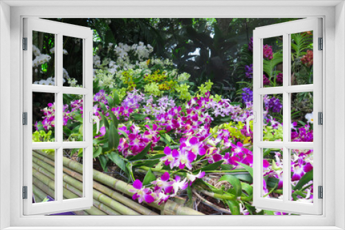 Fototapeta Naklejka Na Ścianę Okno 3D - tropical orchid display