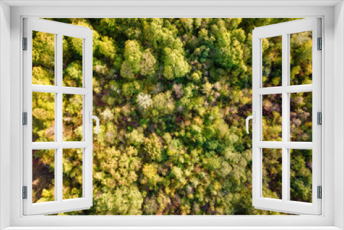 Fototapeta Naklejka Na Ścianę Okno 3D - Beautiful bird s eye view drone landscape image during Autumn Fall of vibrant forest woodland. Autumn forest at sunrise, view from above