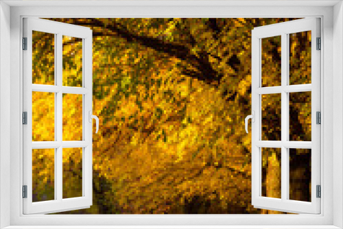 Fototapeta Naklejka Na Ścianę Okno 3D - Beautiful autumn park. Picturesque nature, golden trees in the rays of the sun.