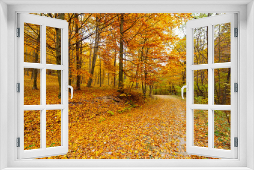 Fototapeta Naklejka Na Ścianę Okno 3D - Colorful autumnal landscape