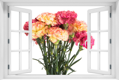 Fototapeta Naklejka Na Ścianę Okno 3D - beautiful bouquet of mix carnations