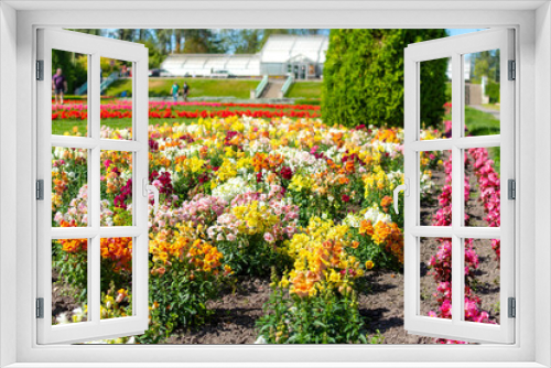Fototapeta Naklejka Na Ścianę Okno 3D - Rows of colorful flowers in the Duncan Gardens of Manito Park, on the South Hill in Spokane, Washington, USA