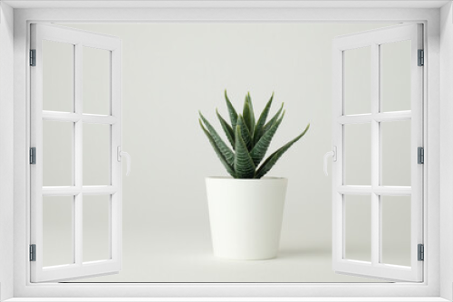 Fototapeta Naklejka Na Ścianę Okno 3D - minimal plant pot for decoration and mock up . decorative cactus potted.