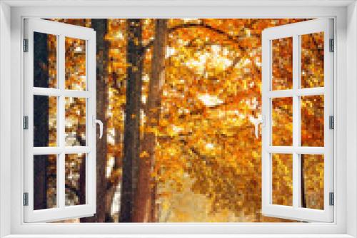 Fototapeta Naklejka Na Ścianę Okno 3D - Beautiful Nature Autumn landscape on Sunny day