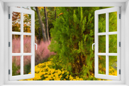 Fototapeta Naklejka Na Ścianę Okno 3D - Evergreen tree surrounded by daisies