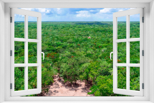 Fototapeta Naklejka Na Ścianę Okno 3D - Coba, Quintana Roo / Mexico - August 2018: View over the jungle from the top of the Ixmoja pyramid 