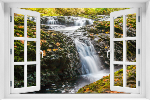 Fototapeta Naklejka Na Ścianę Okno 3D - A small waterfall over a rocky ledge in Silver Creek, Silver Falls State Park near Silverton, Oregon.  Vine Maple leaves scattered on the rocks.