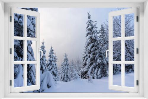 Fototapeta Naklejka Na Ścianę Okno 3D - Frozen trees in deep snow. Tatra Mountains.