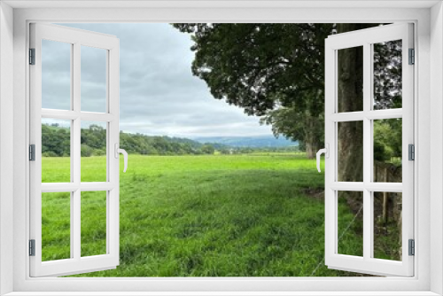 Fototapeta Naklejka Na Ścianę Okno 3D - A vast tree lined meadow, next to the roadside, with fields and hills in the far distance near, Skipton, Yorkshire, UK