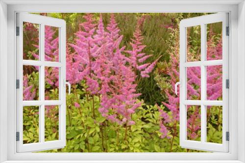 Fototapeta Naklejka Na Ścianę Okno 3D - Pink and Green Garden