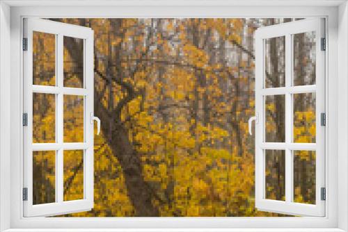 Fototapeta Naklejka Na Ścianę Okno 3D - Fall foggy forest