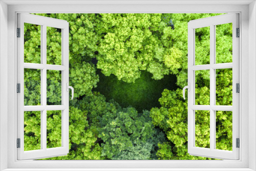 Fototapeta Naklejka Na Ścianę Okno 3D - Aerial of green trees with crescent interval field.