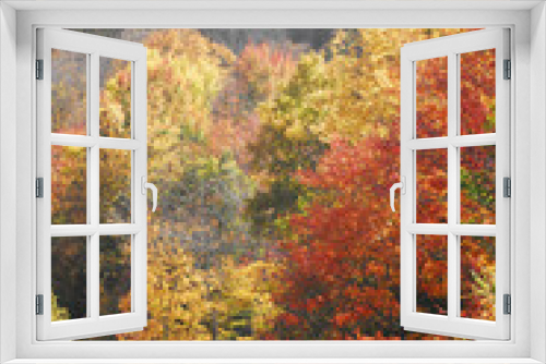 Fototapeta Naklejka Na Ścianę Okno 3D - AUTUMN-WINTER- New York- Colorful Leaves and Bare Branches