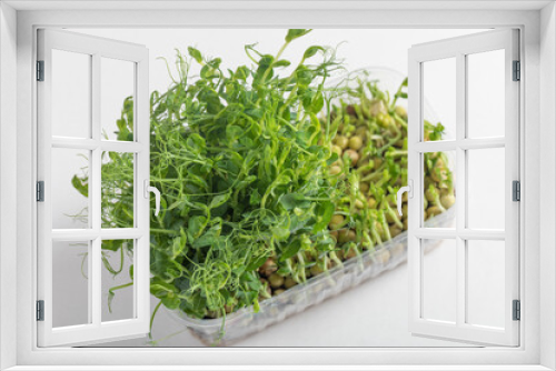 Fototapeta Naklejka Na Ścianę Okno 3D - Veganism. Healthy Eating. Microgreen peas in tray.