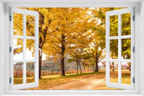 Fototapeta Naklejka Na Ścianę Okno 3D - Beautiful leave and tree in a park,yellow,orange, green, red colors and autumn landscape.