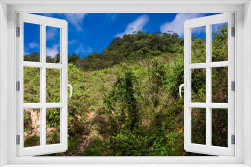 Fototapeta Naklejka Na Ścianę Okno 3D - Colombian landscapes. Green mountains in Colombia, Latin America