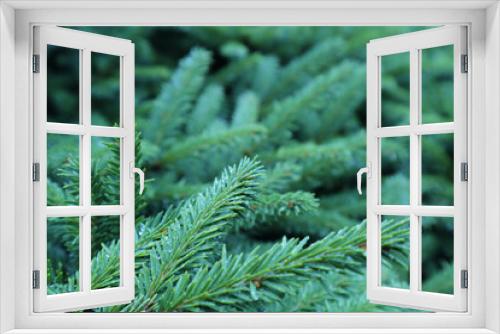 Fototapeta Naklejka Na Ścianę Okno 3D - A texture furry branches Green background