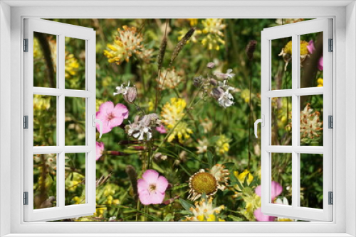Fototapeta Naklejka Na Ścianę Okno 3D - Farbenfrohe Bergwiese