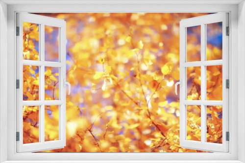 Fototapeta Naklejka Na Ścianę Okno 3D - yellow leaves bokeh seasonal background / beautiful autumn leaves yellow branches abstract background, leaf fall concept