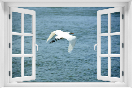 Fototapeta Naklejka Na Ścianę Okno 3D - great white egret