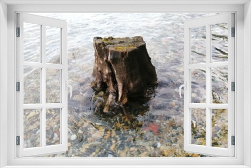 Fototapeta Naklejka Na Ścianę Okno 3D - stump in the water